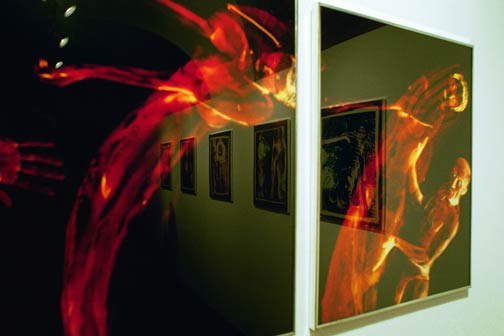 Joanna Zastróżna: NR 3 - obrazy